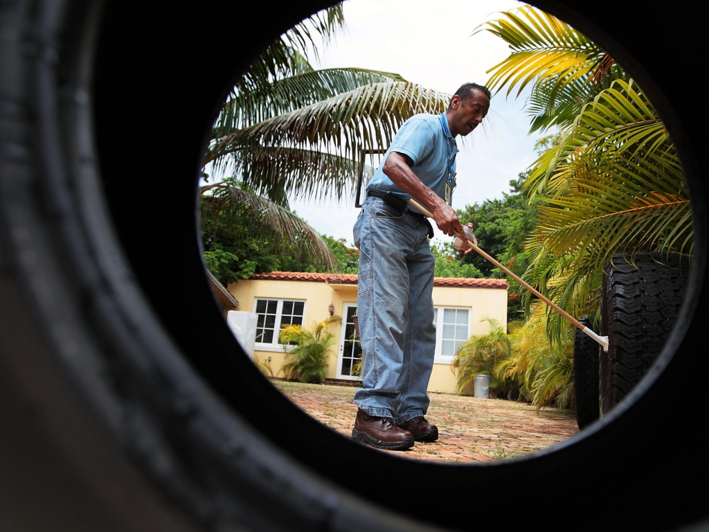 Sporadic dengue fever outbreaks in Florida in 2009 and 2010 spurred mosquito control efforts in Key West and Miami Beach shown here. The same mosquito that carries dengue Aedes aegypti can transmit Zika