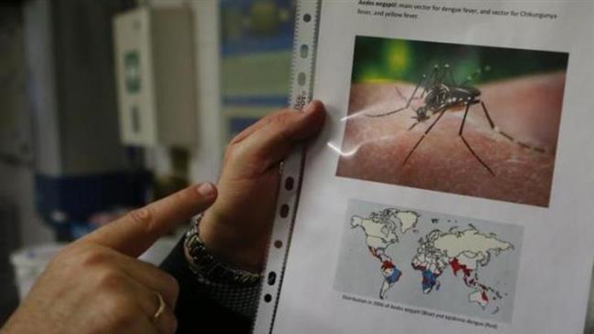 France records first sexually-transmitted case of Zika