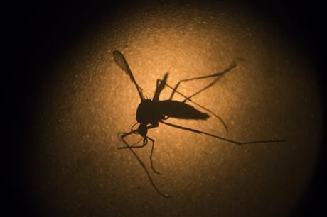 New York State Takes Additional Actions To Address Zika Virus