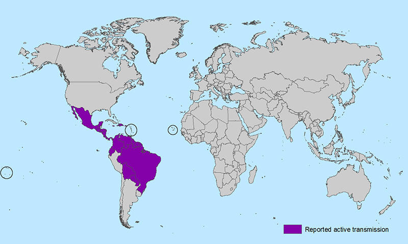 Countries and territories with active Zika virus transmission as of Feb. 5 2016