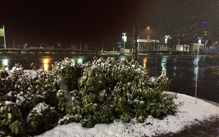 Early morning snow at the Hunt Valley Light Rail stop