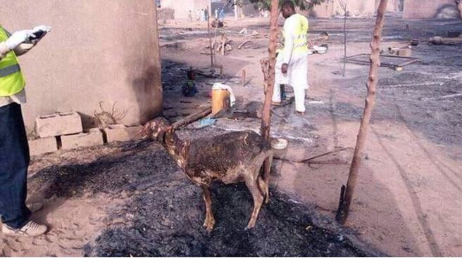 Boko Haram Jihadis Burn Children Alive, Slay Over 100 Villagers in Nigeria Massacre