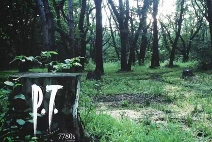 P.T._cover