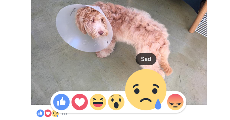 Facebook adds five Reactions to the Like button			 0					By		Dora Spenlow