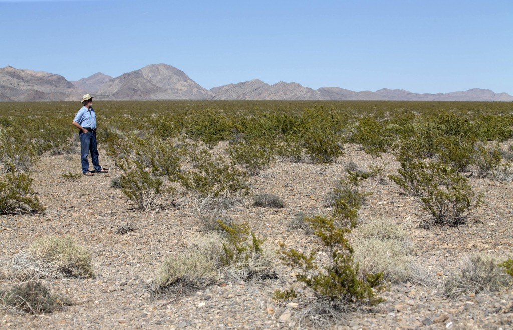 Obama grants monument status to vast swath of California desert