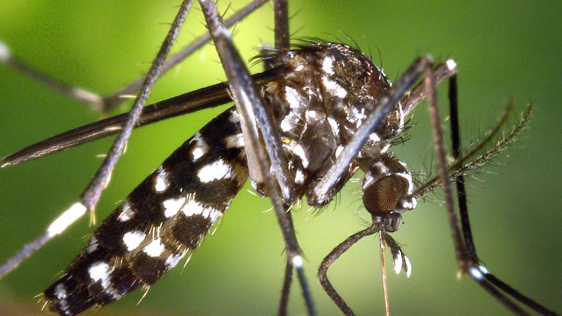 Florida Gov. Scott declares a health emergency in 4 counties due to Zika virus