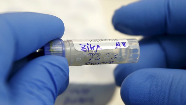 Genes bugs and radiation WHO backs new weapons in Zika virus fight