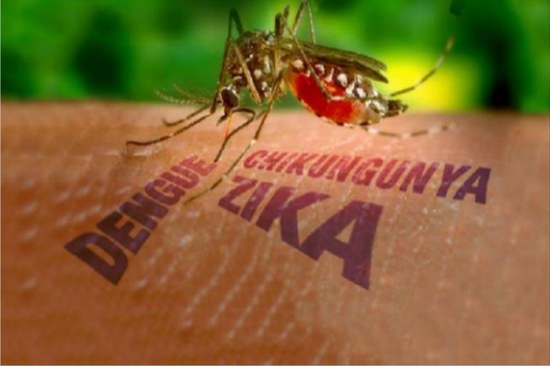 Health ministry warns Malaysia vulnerable to zika outbreak