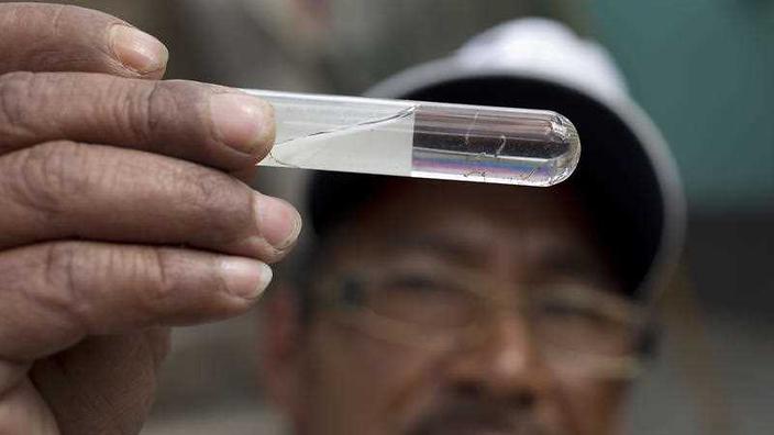 Health Ministry worker Carlos Lopez shows larvae of mosquitoes he found during a fumigation campaign at La Comuna 2 neighborhood in Guatemala City