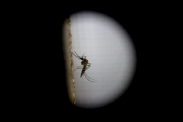 Sexually-transmitted Zika case confirmed in Texas