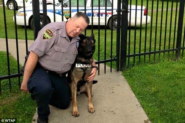 Retired Officer Matt Hickey has lived and worked with police dog Ajax for three years. When Officer Hickey retired this week he hoped to keep Ajax but was told the dog was set to go to auction because of state law