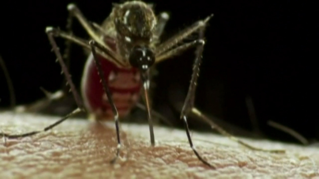 Lehigh University student tests positive for Zika virus