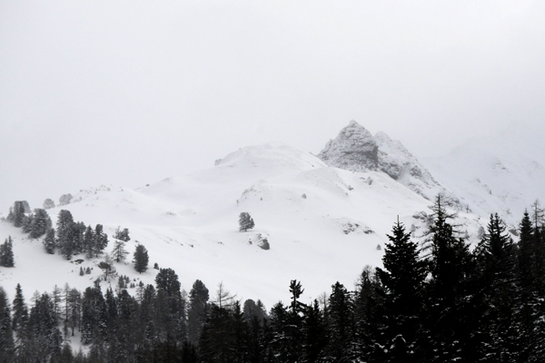 MONTREAL Five snowmobilers were killed after being buried in an avalanche in Canada's British Columbia province officials said