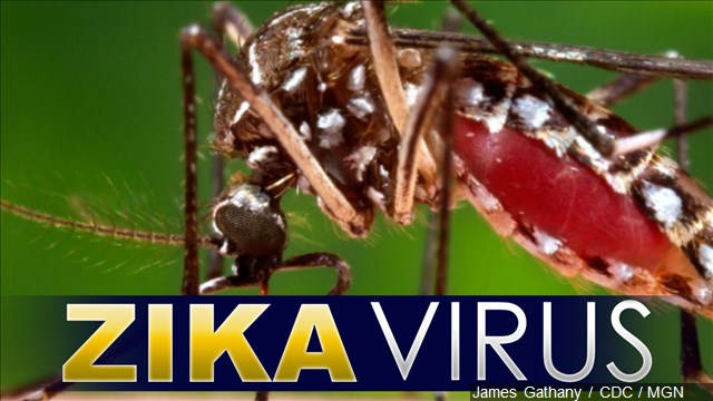 Florida readies for a fight with Zika virus