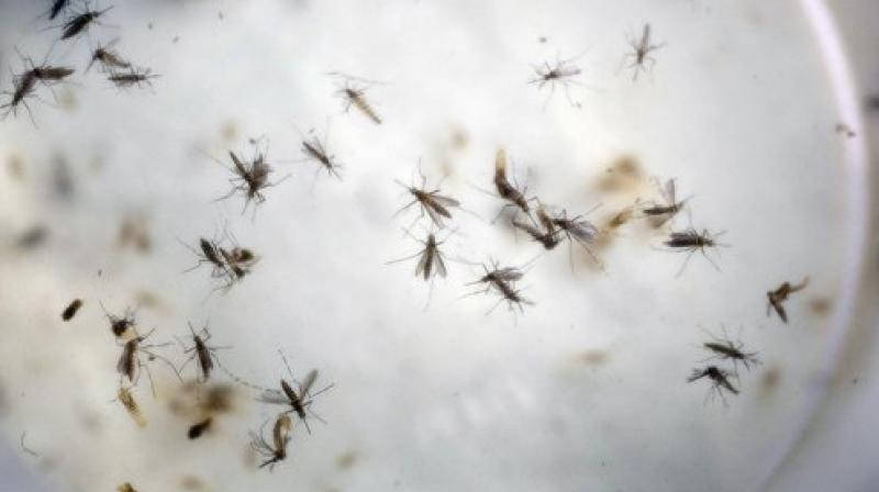 China confirmed its first imported case of Zika in the 34-year-old man from the Ganxian County in Jiangxi Province