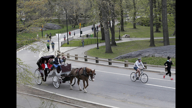 Councillors set to consider plan to reduce New York carriage trade