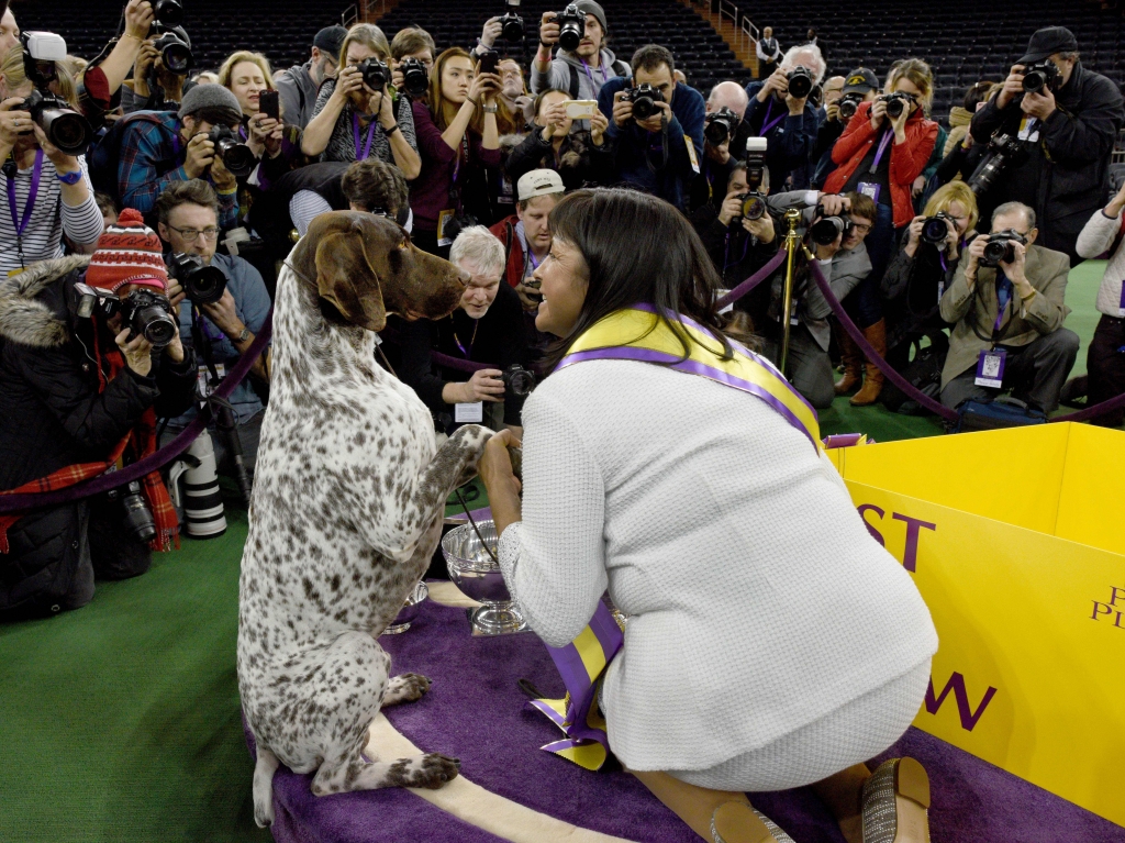 2016 Westminster Kennel Club Dog Show Group Winners Announcing the Group Winners at the 2016 Westminster