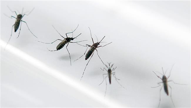 Zika virus cases reported in Nebraska