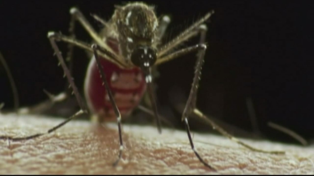 Health officials: Here's what will help stop Zika virus