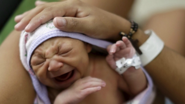 Researchers find new Zika virus clues to microcephaly in foetus study