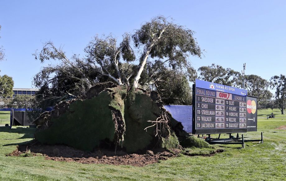 The scoreboard at the Farmers Insurance Open at Torrey Pines in San Diego displays the winner’s score adjacent a large fallen tree during the completion of the suspended final round