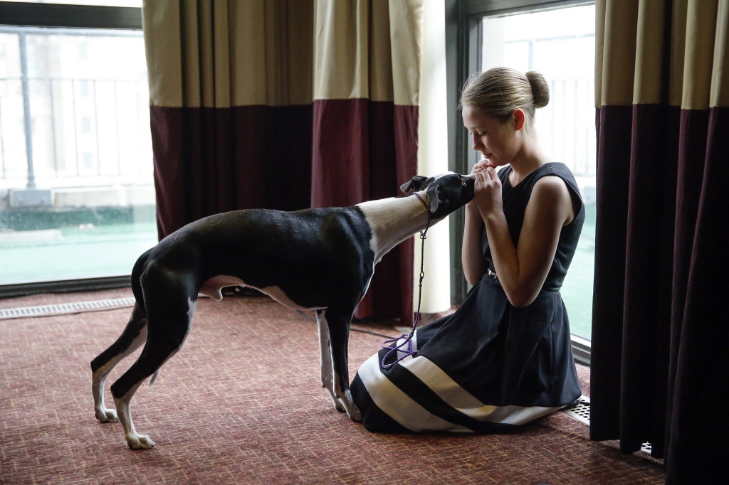 Sophia Rogers with her whippet Erik at a Westminster preview event in 2015