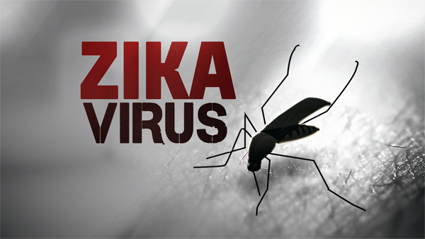 Zika Will Spread Like Chikungunya: CDC