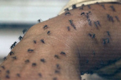 Zika infection strikes Iowan who went to Central America