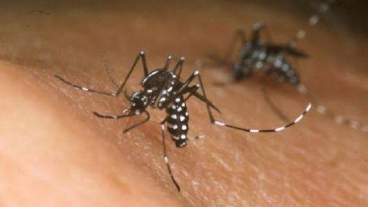 First case of Zika virus confirmed in NC