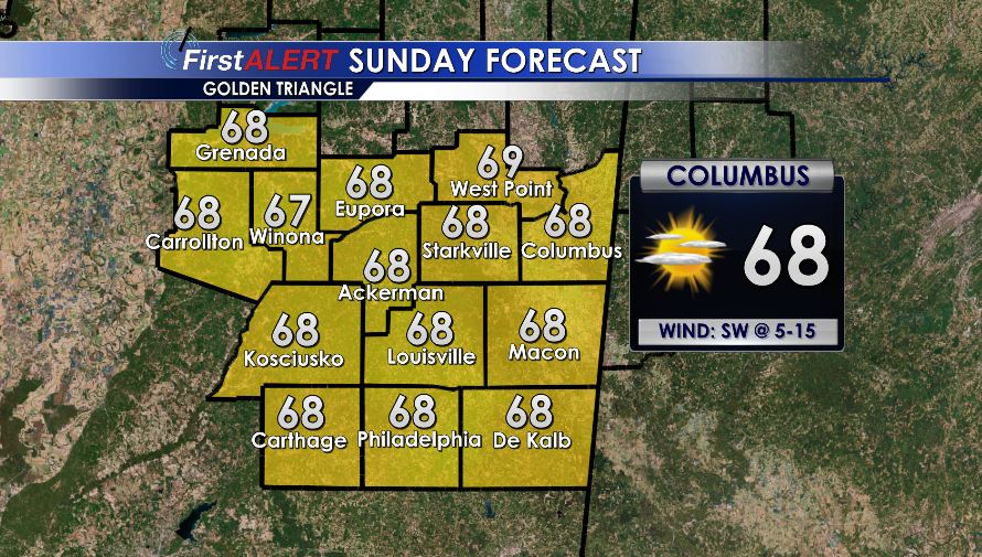 Sunday Forecast for Golden Triangle Area