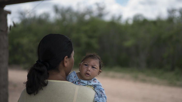 The WHO has urged women in Zika virus zones to have safe sex to avoid contracting the disease