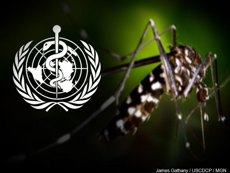 Louisiana investigating 2 possible Zika virus cases