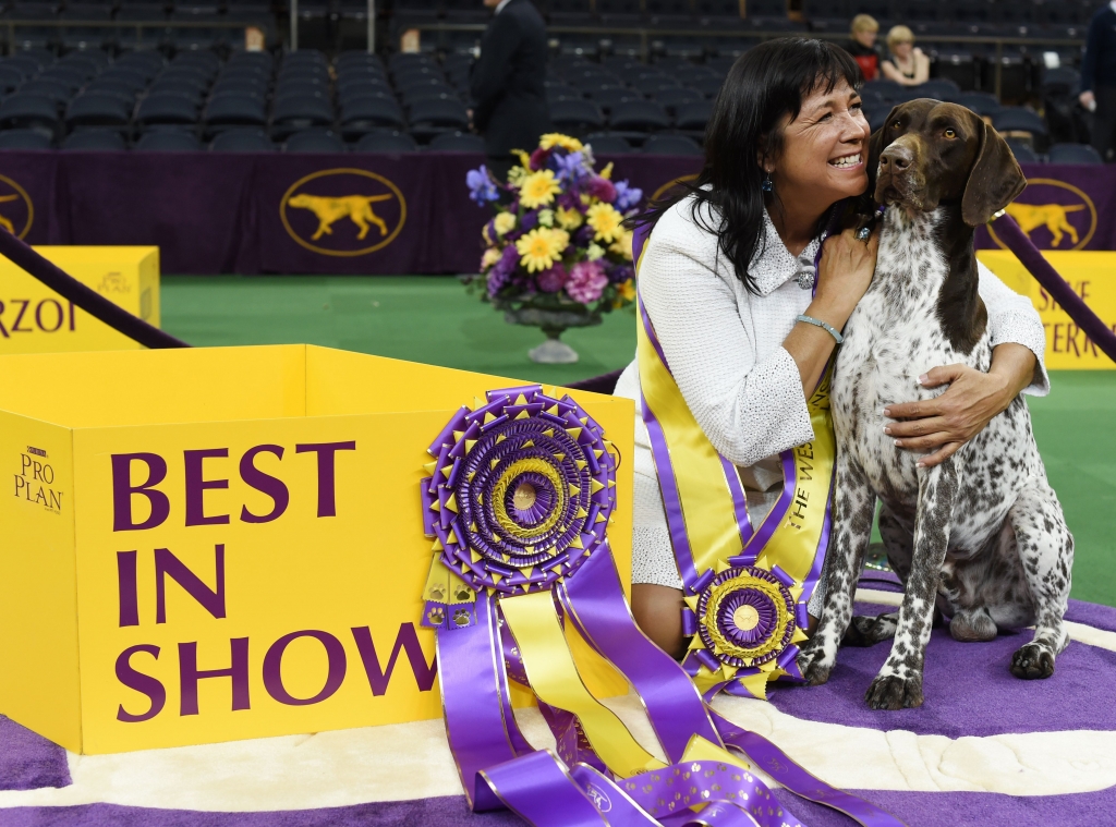 Handler Valerie Nunes Atkinson embraced the German shorthaired pointer named C.J. after he won'Best in Show of the 140th Annual Westminster Kennel Club Dog Show