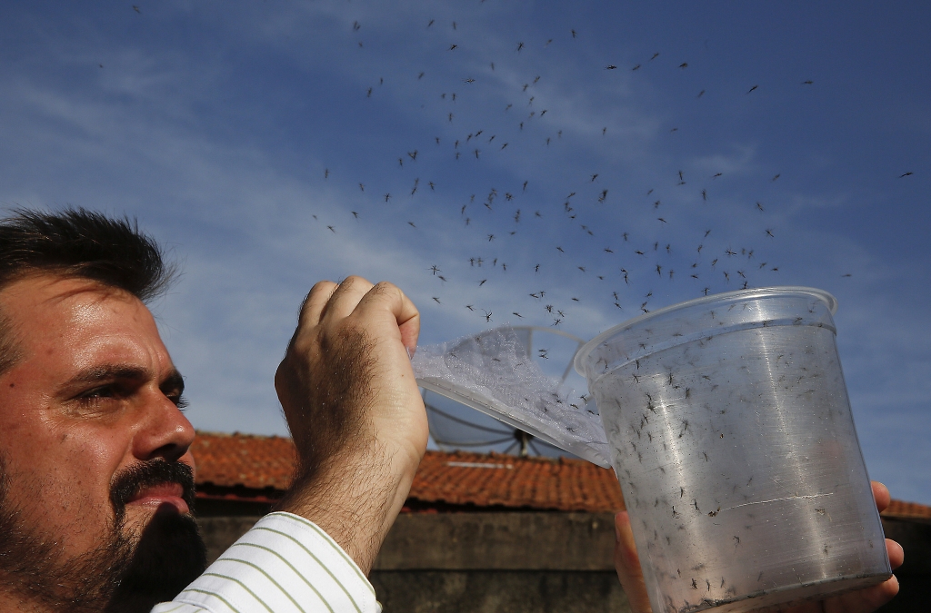 Zika spotlights rare birth defect with a variety of causes