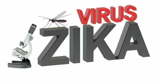 Brazil Zika cases raise concern of virus transmission beyond mosquitoes