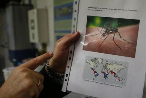 Stillbirth offers another clue to possible damage from Zika