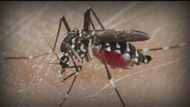 2 new Zika virus cases confirmed in Ohio, one in Butler County, officials say