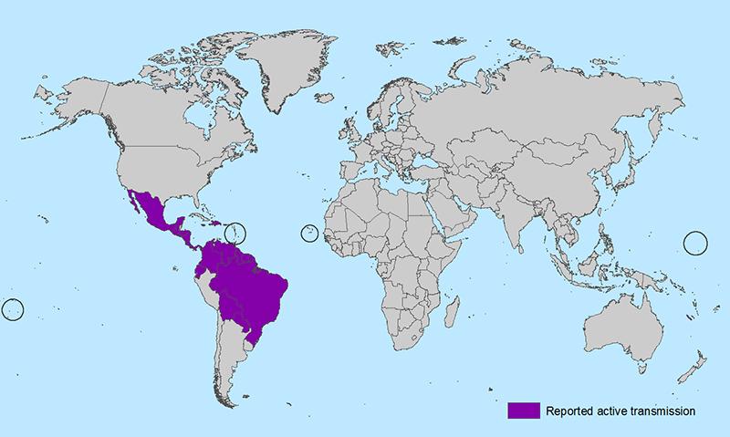 'All Countries and Territories with Active Zika Virus Transmission