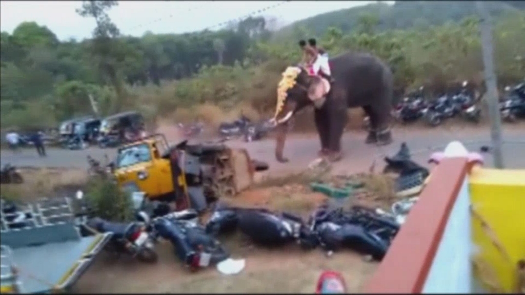 An elephant goes on a rampage in Southern India