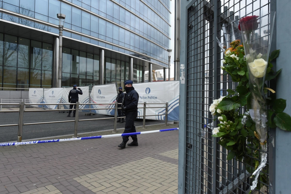 Brussels explosions: Belgium national football team cancel training after blasts