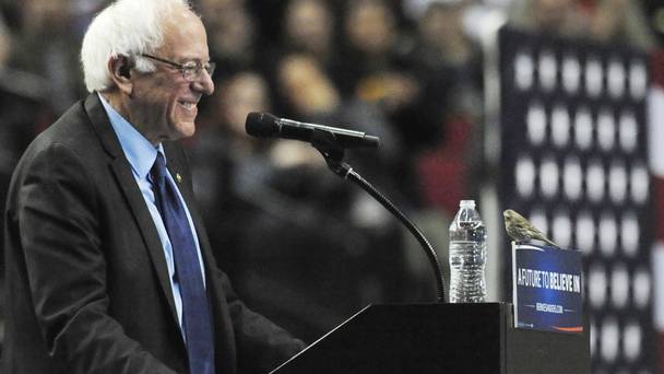 Bernie watches the birdie in a hilarious moment at his Oregon rally