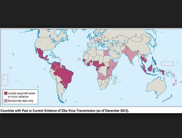 The Dangerous Conspiracy Theories About the Zika Virus