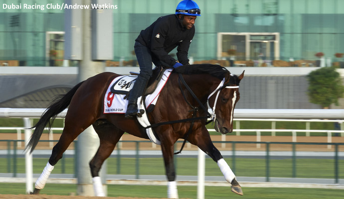 Mshawish does morning trackwork at Meydan on Monday