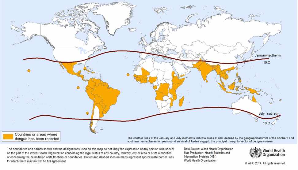 Zika virus spreading & terrorize Latin America and the Caribbean