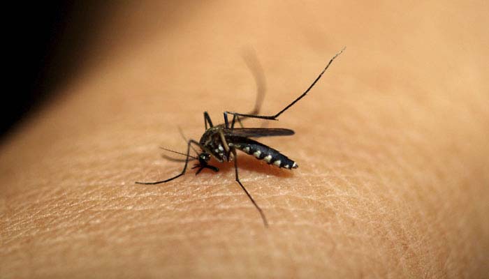 116 US residents infected with Zika virus says report