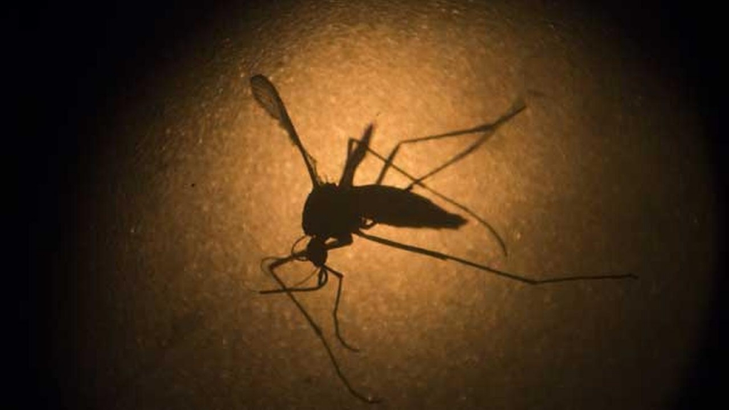 First case of Zika virus confirmed in Chicago