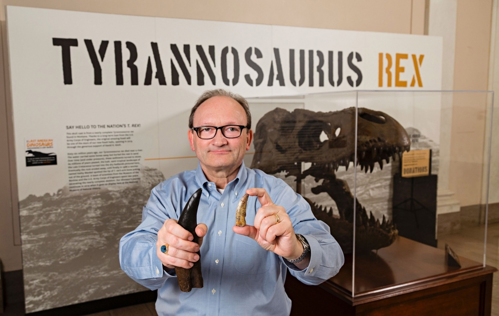 Smithsonian Institution shows Hans Sues Chair Department of Paleobiology National Museum of Natural History Smithsonian Institution holding a cast of a Tyrannosaurus Rex tooth for comparison with