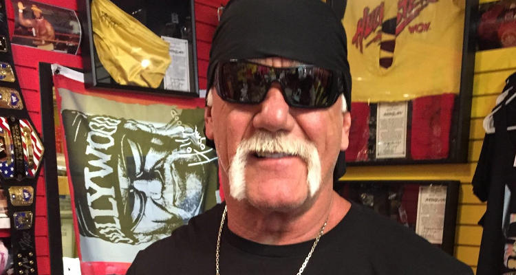 Will Hulk Hogan Win $100 Million