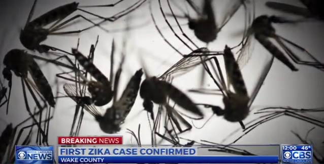 Google is donating money and manpower to fight the Zika virus