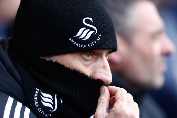 Guidolin looks on at White Hart Lane